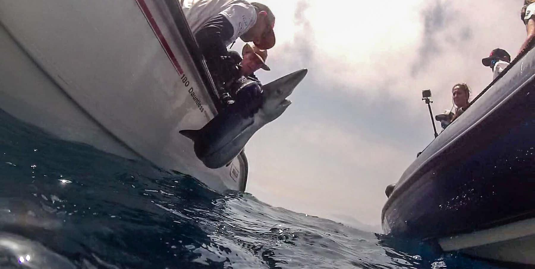 2022-nauticescala-Pesca-jornada cientifica de marcatge de taurons cap de creus